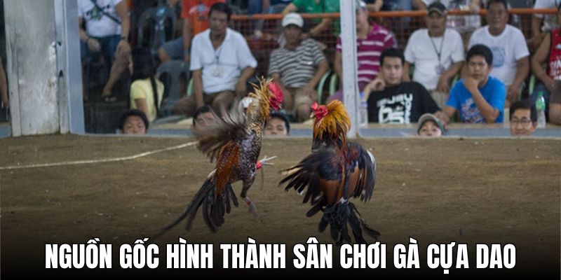 Nguồn gốc hình thành sân chơi gà cựa dao độc đáo