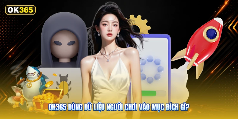 OK365 Dùng Dữ Liệu Người Chơi Vào Mục Đích Gì?