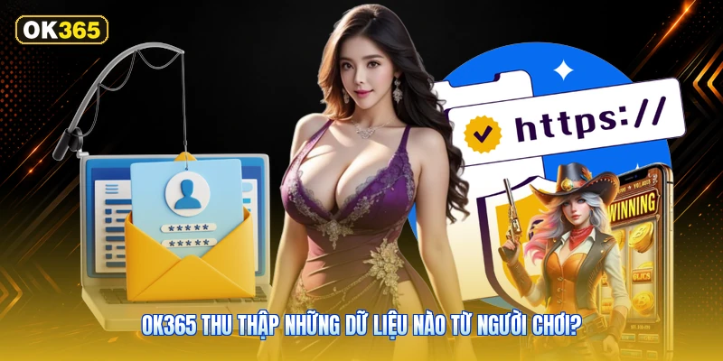 OK365 Thu Thập Những Dữ Liệu Nào Từ Người Chơi?